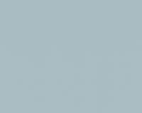 купить A.S.Creation NAF NAF 954534