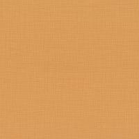 купить P+S International Novara 2 13461-50