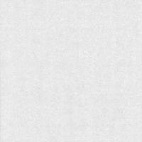 купить P+S International Profiwall 13007-10