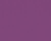 купить A.S.Creation Meistervlies 5 3095-70