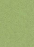 купить Erismann City Colours 6986-07