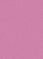 купить Erismann Prime Time 7352-17