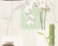 купить A.S.Creation Dekora Natur 5 877116