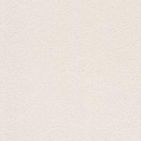 купить Rasch Home Vision 6 427219