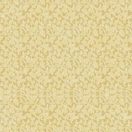 купить Paravox Antares AN8050