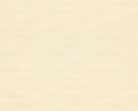 купить A.S.Creation Paradise Flower 32997-1