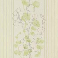 купить Rasch All in One 2015 434729