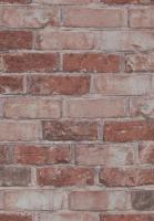 купить BN International More Than Elements 49780