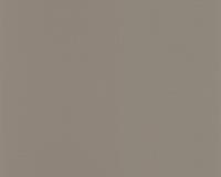 купить A.S.Creation Colour Courage 805645