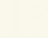 купить A.S.Creation Gemini 863263