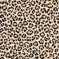 купить Erismann Sambesi 5901-27