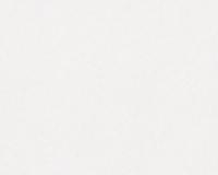 купить A.S.Creation Meistervlies 4 8655-19