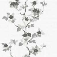 купить P+S International Orpheo 2014 13088-40