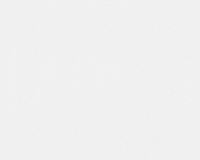 купить A.S.Creation Maistervlies 2020 95321-6