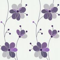 купить P+S International Belcanto 2014 13505-60