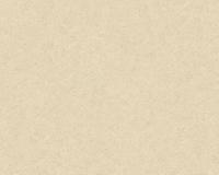 купить A.S.Creation Titanium 3153-35