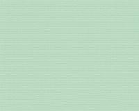 купить A.S.Creation ESPRIT Kids 4 3116-41