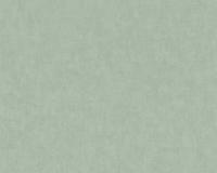 купить A.S.Creation Geo Nordic 37536-1