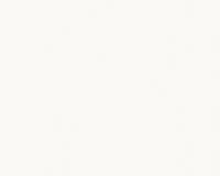 купить A.S.Creation Esprit 5 140142