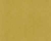 купить A.S.Creation Vernissage 909664