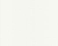 купить A.S.Creation Meistervlies Protect 2 182616