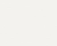 купить A.S.Creation Esprit 13 35755-1