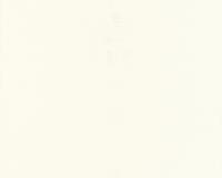 купить A.S.Creation Decora Natur 4 589149