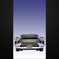 купить Decoprint NV What up WUD17651