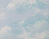 купить A.S.Creation Decora Natur 4 560414