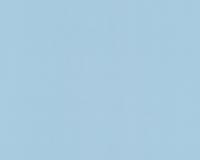 купить A.S.Creation Colour Courage 698988