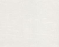 купить A.S.Creation Esprit 8 939111