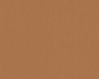 купить A.S.Creation Schoner Wohnen 5 944986