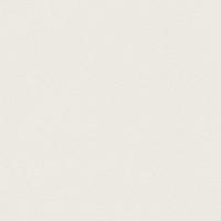 купить Rasch Cosmopolitan 576061