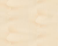 купить A.S.Creation Tracy 3485-31