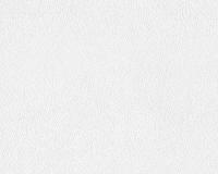 купить A.S.Creation Maistervlies 2020 92881-8