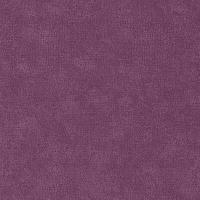 купить P+S International 4ever 02331-00