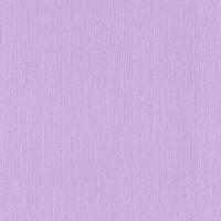 купить P+S International Graziosa 42121-70