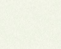 купить A.S.Creation Versace 3 93582-7