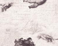 купить A.S.Creation Simply Decor 33534-1