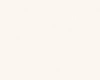 купить A.S.Creation Maistervlies 2020 35063-1