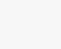 купить A.S.Creation NAF NAF 954527