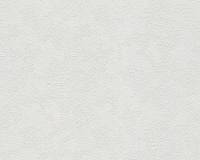 купить A.S.Creation Maistervlies 2020 10361-1