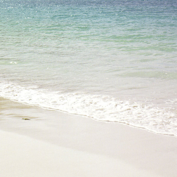 купить Eijffinger Ibiza 330284
