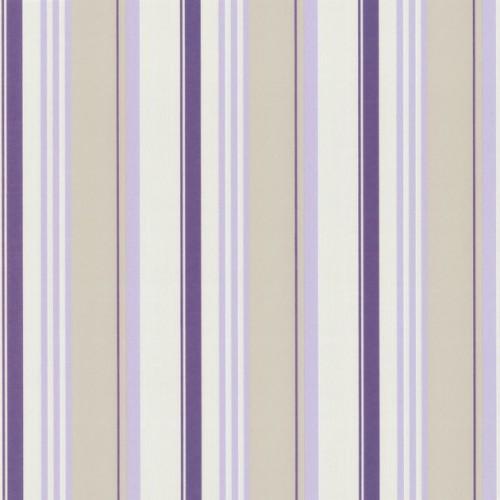 купить P+S International Delight 03883-70