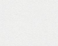 купить A.S.Creation Maistervlies 2020 56321-7