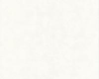 купить A.S.Creation White & Colours 511546