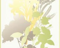 купить A.S.Creation Esprit 7 265814