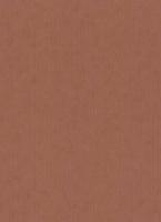 купить Erismann BasiXs 6488-13