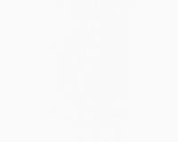 купить A.S.Creation MV meets XXL 744616