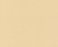 купить A.S.Creation Duetto 850065